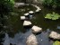 Stepping Stones in the Koi Pond